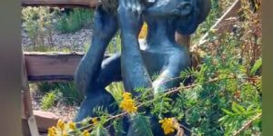 #ABG #Gemeinschaft #BockAufHeimat #Verein #MitgliedWerden #BockAufDüsseldorf #ABG1948