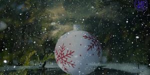 🎄✨ Weihnachtsfeier bei der Pittermanns Scholl ✨🎄